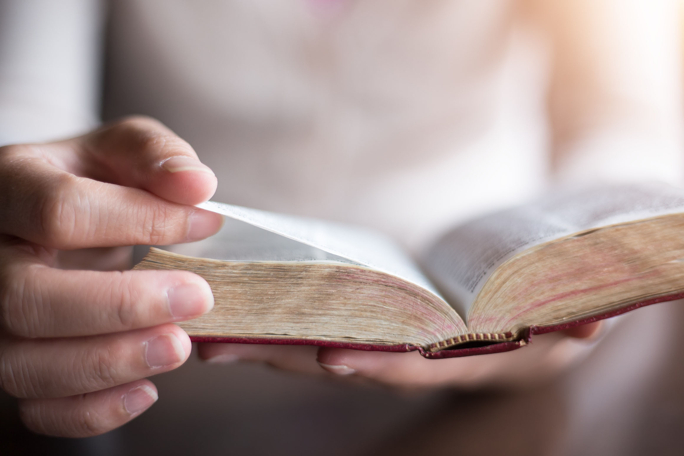 9 Things Everyone Should Do When Reading The Bible Relevant