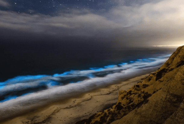 These Images of Bioluminescent Waves in California Are Incredible ...