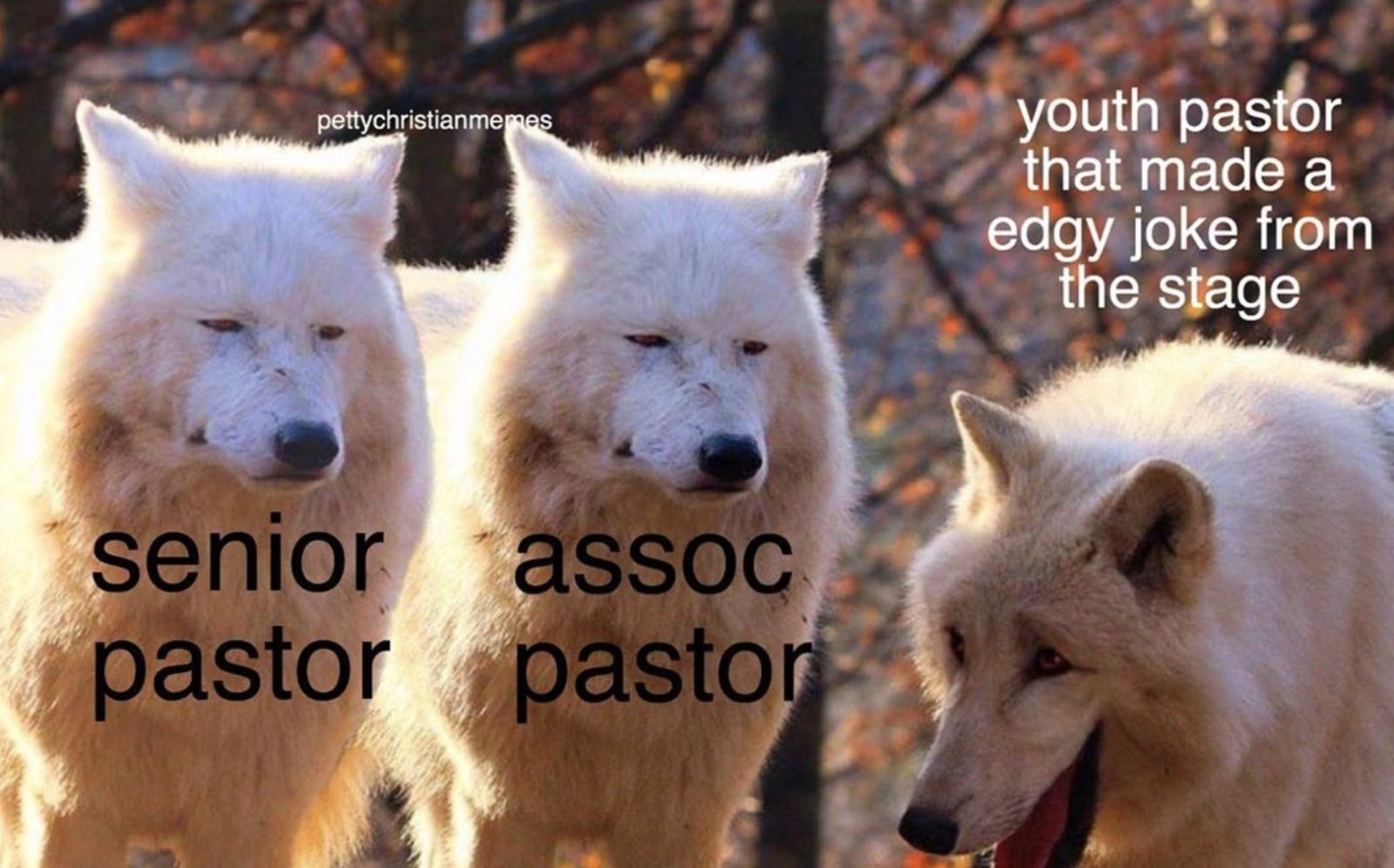 5 Christian Meme Accounts That Are Actually Pretty Funny - RELEVANT