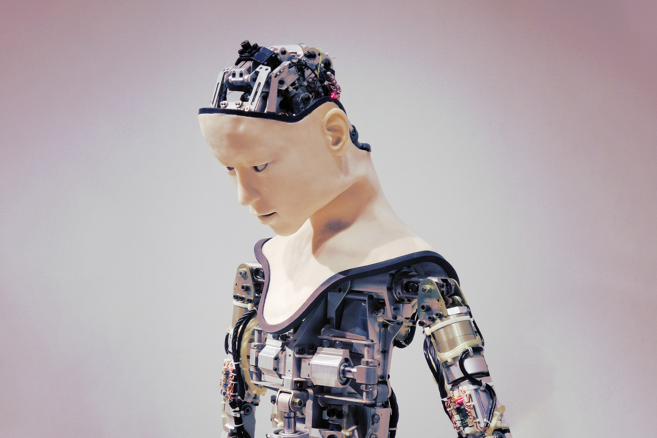 Scientists Say They're Now Actively Trying to Build Conscious Robots