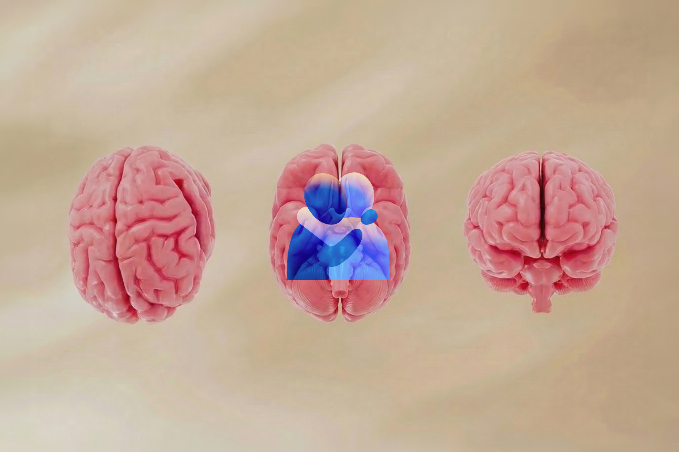 The Scientific Case...