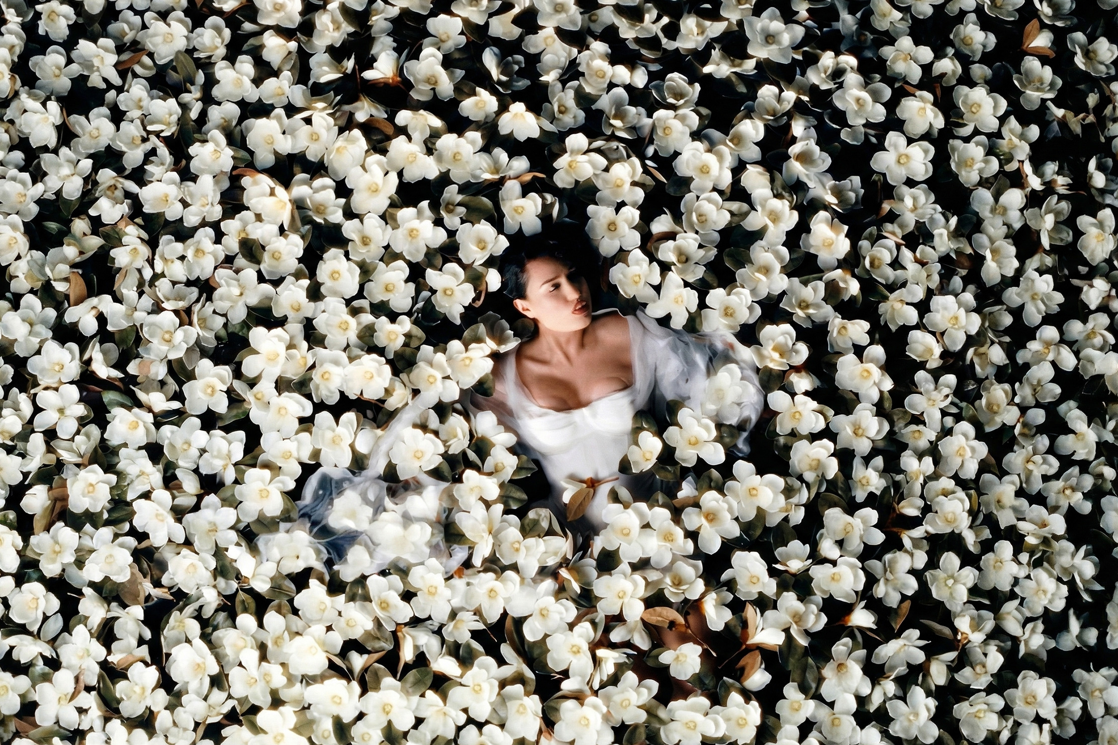 RAYE’s New Album Tel...