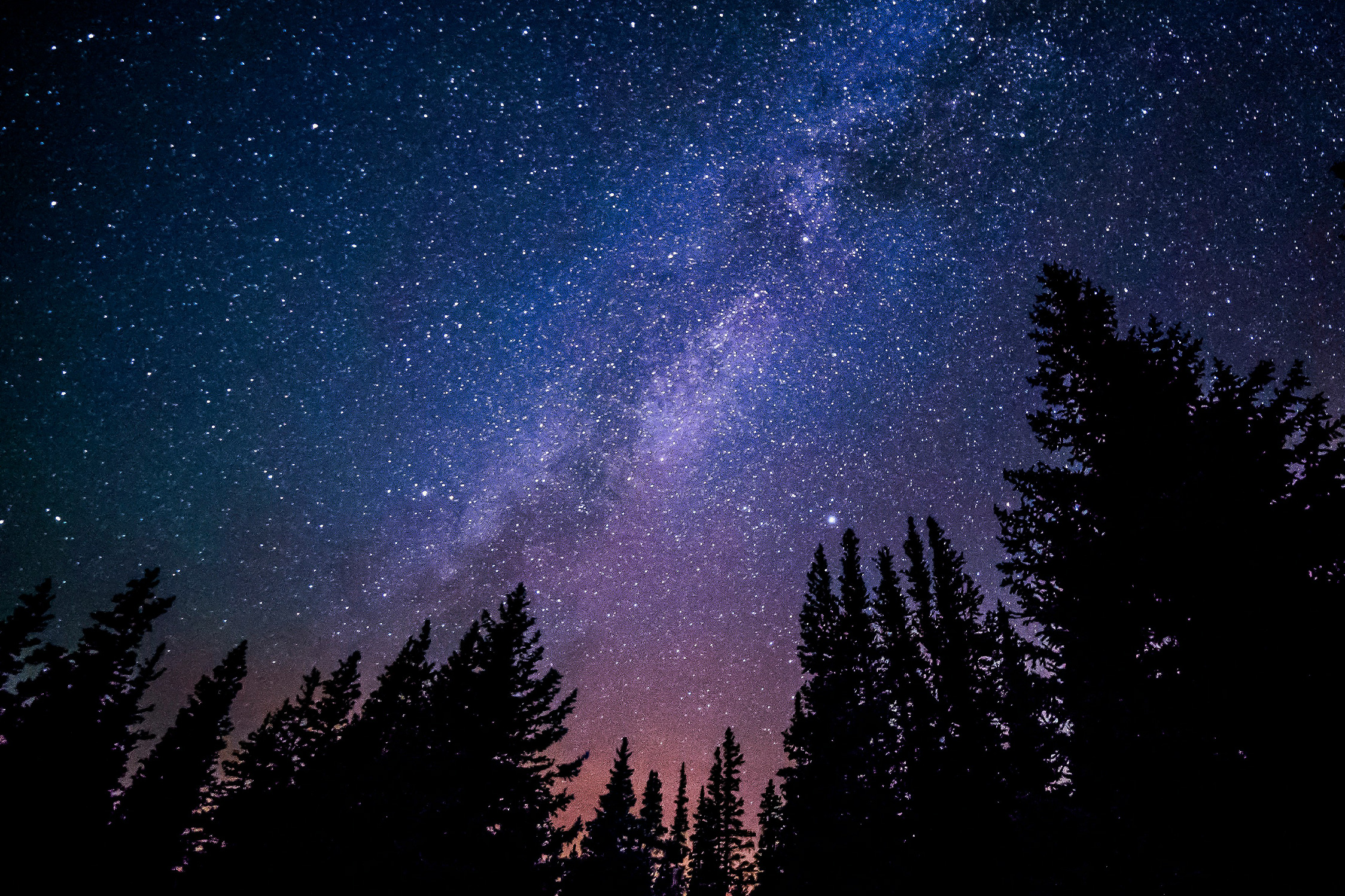 Lee Strobel: The Sci...