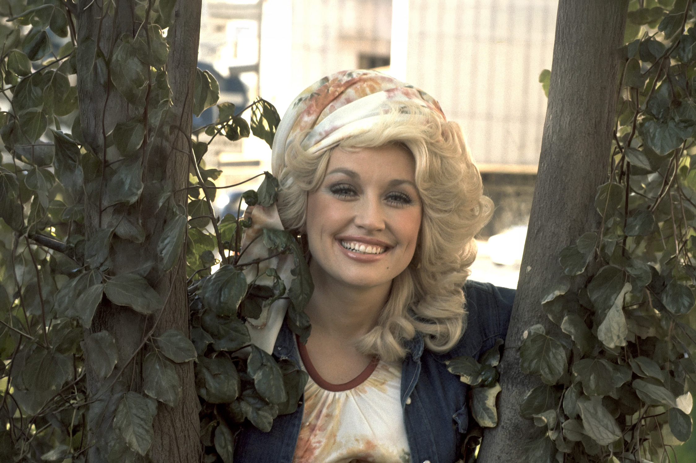 Dolly Parton Never H...